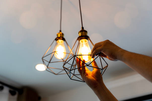Best Residential Electrician Services  in Venice Gardens, FL