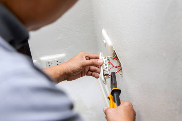 Best Affordable Electrician  in Venice Gardens, FL